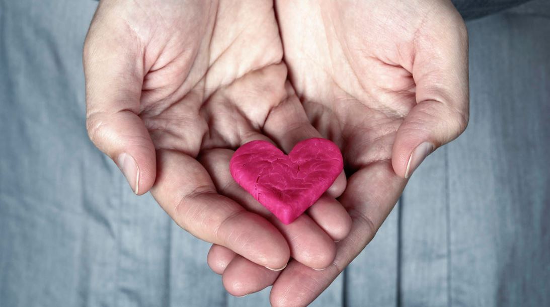 How to Boost Your Cardiovascular Health