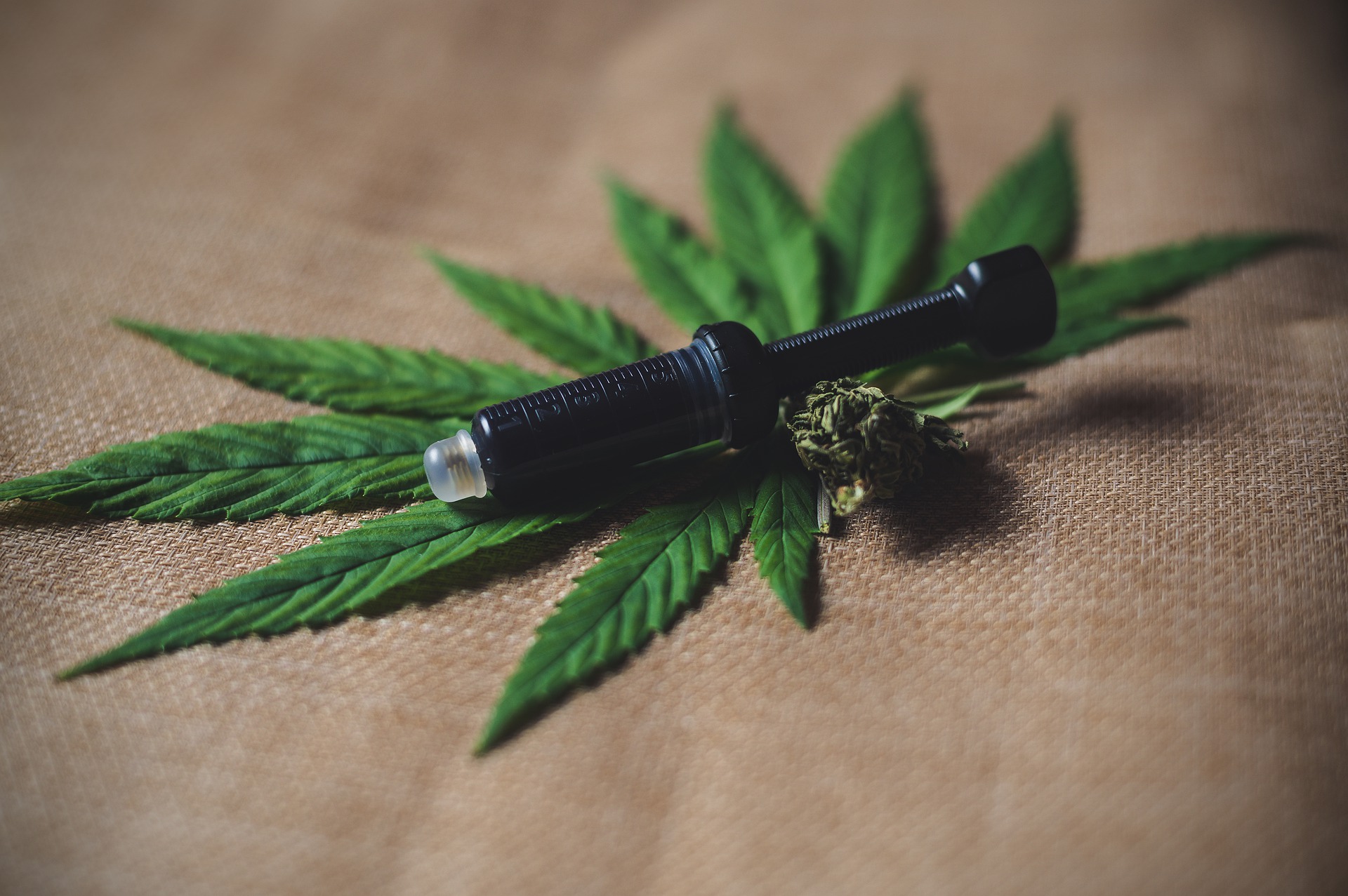 Important Guide When Making a CBD Wholesale Purchase