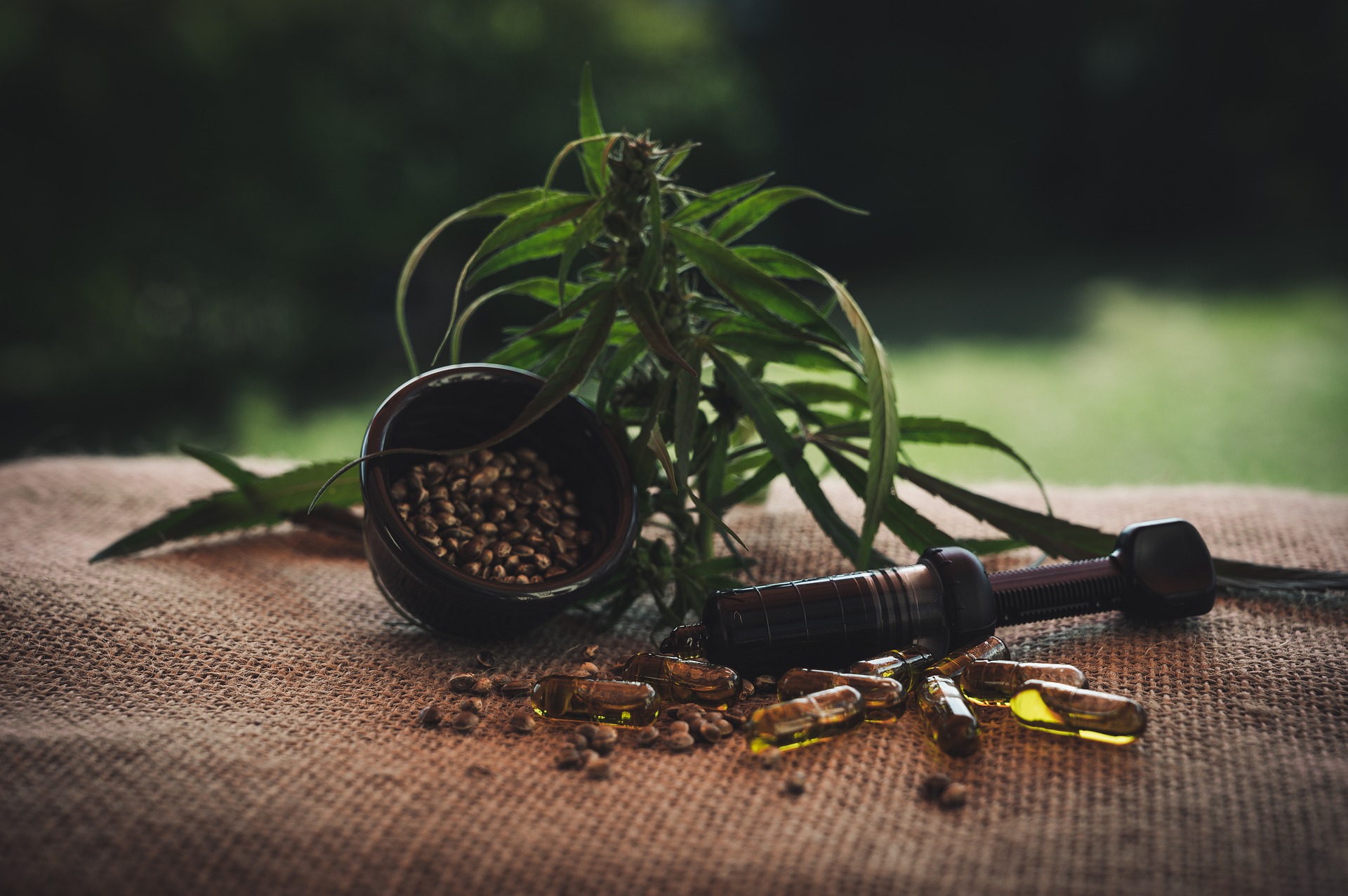How to Know the Ideal Hemp CBD Oil Company